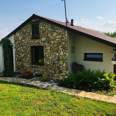 Vila Czytelnia W Sadzie Krzykawka Exteriér fotografie
