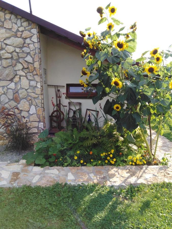 Vila Czytelnia W Sadzie Krzykawka Exteriér fotografie