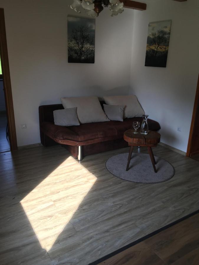 Vila Czytelnia W Sadzie Krzykawka Exteriér fotografie